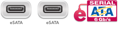 Two eSATA Ports