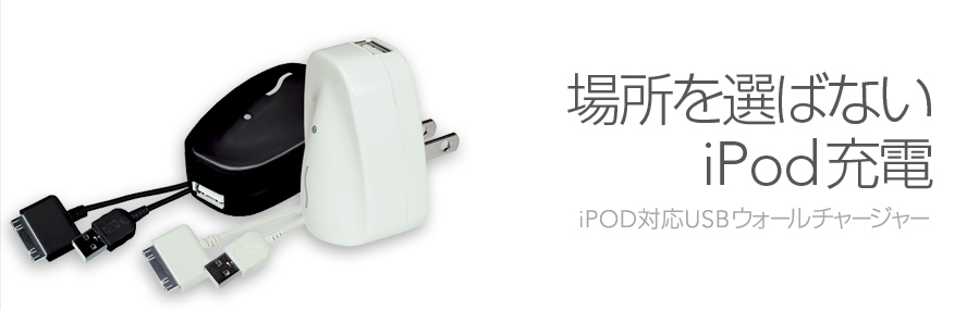 USB Wall Charger for iPod