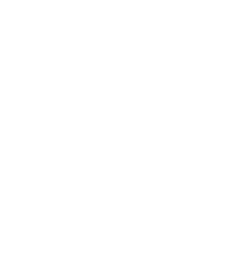 Thunderbolt logo icon.
