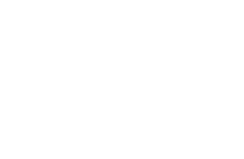 Hardware RAID Controller Icon