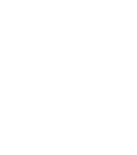 Thunderbolt Logo