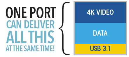 Thunderbolt 3 Port Info Icon