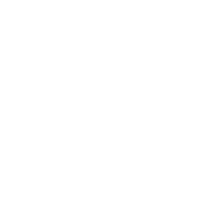 x16 PCIe Bridge Icon