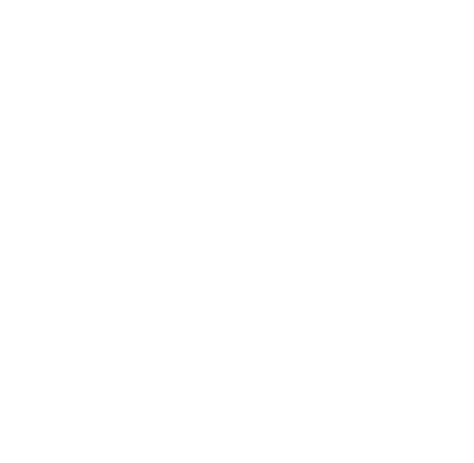 Padlock Icon