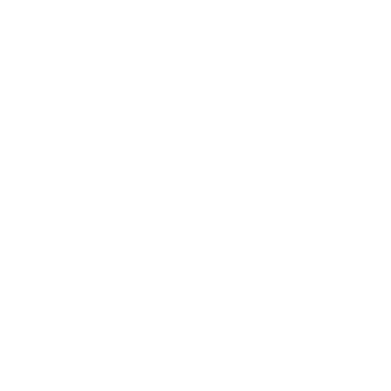 Thunderbolt Icon