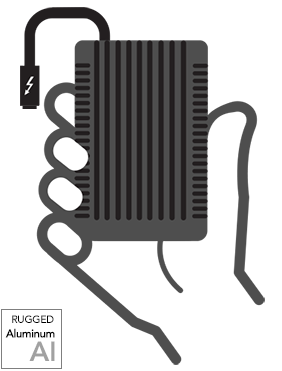 Fusion PCIe Flash Drive In Palm of Hand Icon