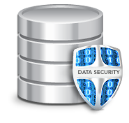 Data Security Icon