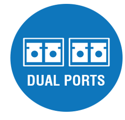 Dual Ports Icon